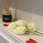 Apartment O2m Aix Les Bains Aix-les-Bains